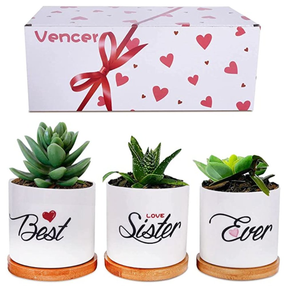 NWT! Best Sister Ever Planter Set
